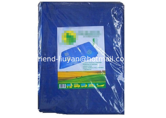 Polyethylene PE Tarpaulin