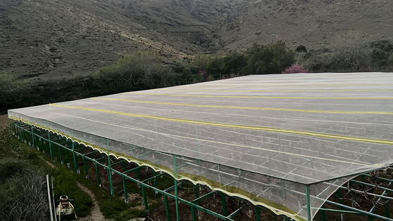 Rete agricola anti-insetti in HDPE UV resistente alle lacrime